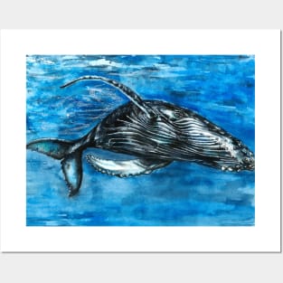 Blue Whale Play Posters and Art